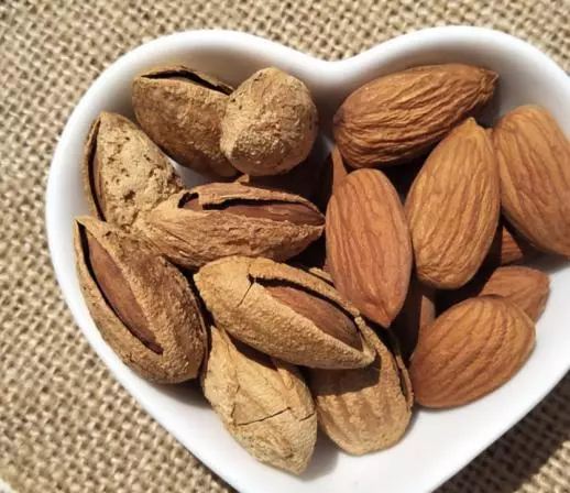 خرید بادام منقا تازه + قیمت عمده